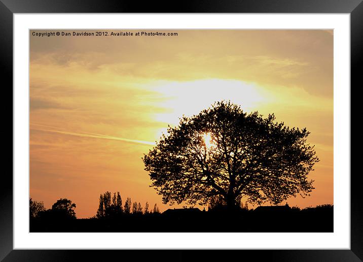 Tree Sunset Silhouette Framed Mounted Print by Dan Davidson