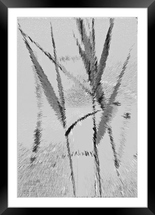 Water Reed Digital Art Framed Mounted Print by David Pyatt