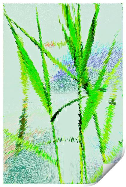 Water Reed Digital art Print by David Pyatt