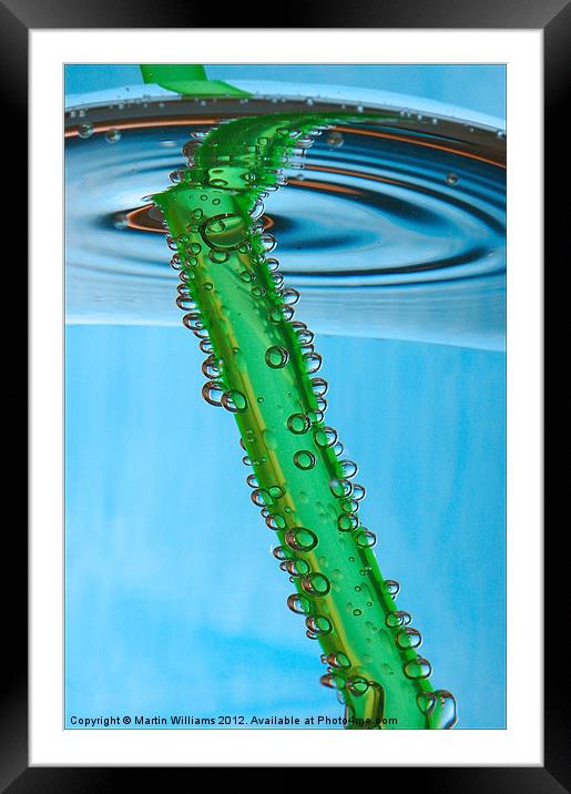 Green Straw Framed Mounted Print by Martin Williams