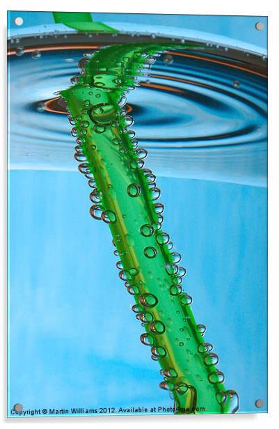 Green Straw Acrylic by Martin Williams