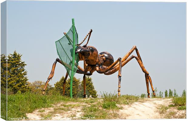 Giant Ant 2 Canvas Print by Chris Thaxter