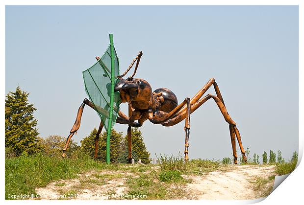 Giant Ant 2 Print by Chris Thaxter