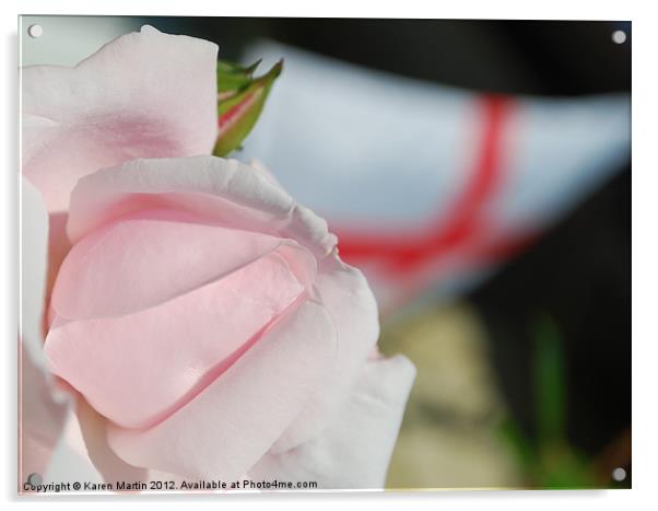 Rose of England Acrylic by Karen Martin