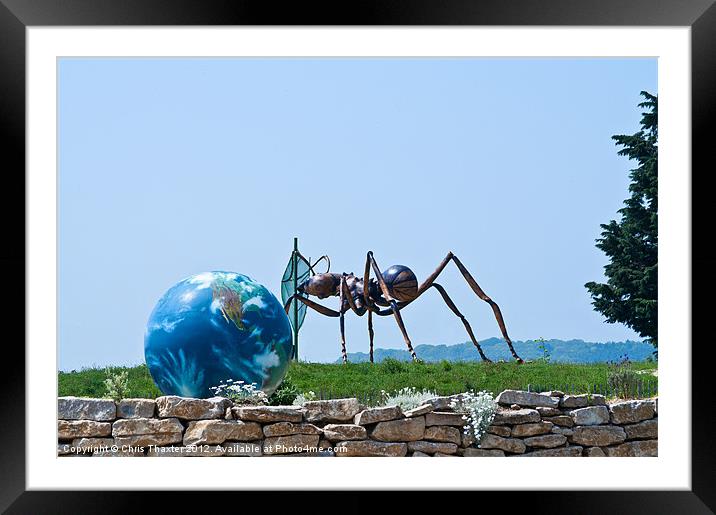 Ant world Framed Mounted Print by Chris Thaxter