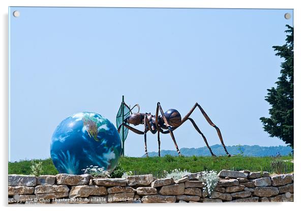 Ant world Acrylic by Chris Thaxter