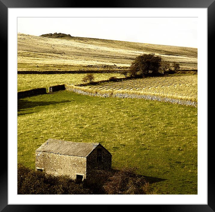 Dartmoor Framed Mounted Print by Mary Lane