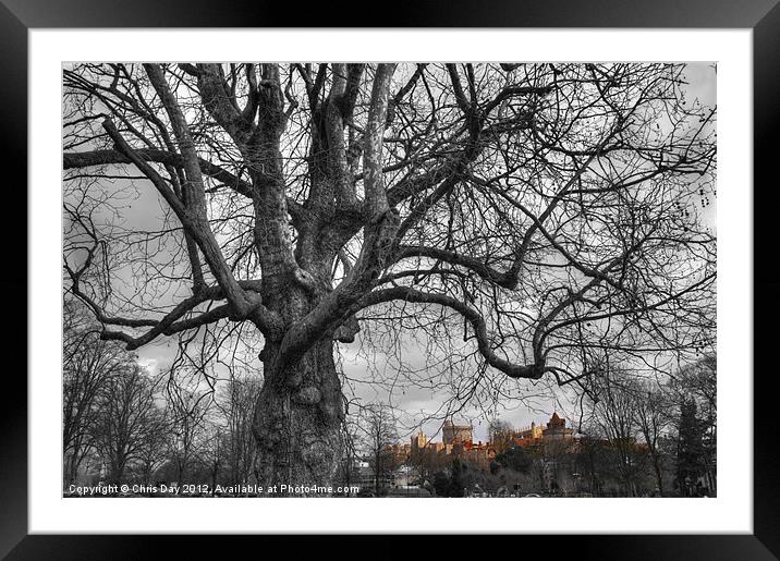 Windsor castle Framed Mounted Print by Chris Day