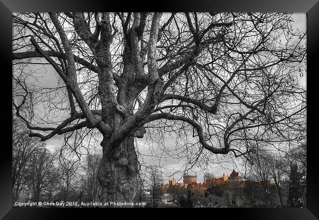 Windsor castle Framed Print by Chris Day