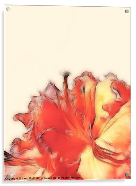 Coral Rhododrendron Acrylic by Lynn Bolt