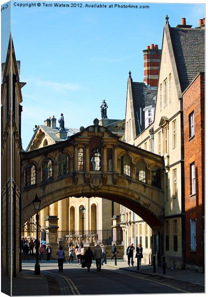 Oxford Sighs over College Lane Canvas Print by Terri Waters