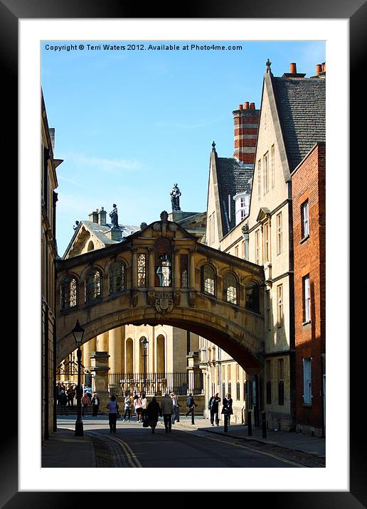 Oxford Sighs over College Lane Framed Mounted Print by Terri Waters