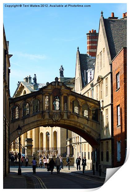 Oxford Sighs over College Lane Print by Terri Waters