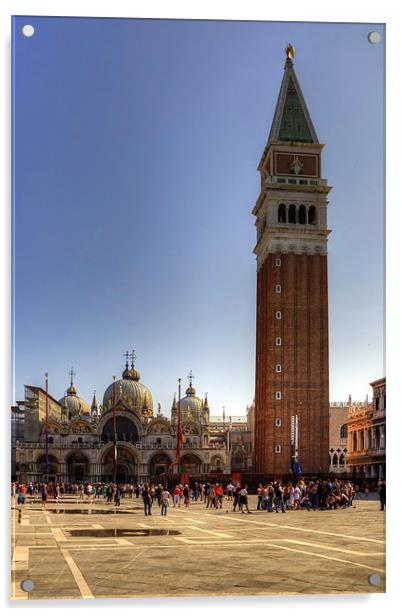 St Mark's Basilica and Camponile Acrylic by Tom Gomez