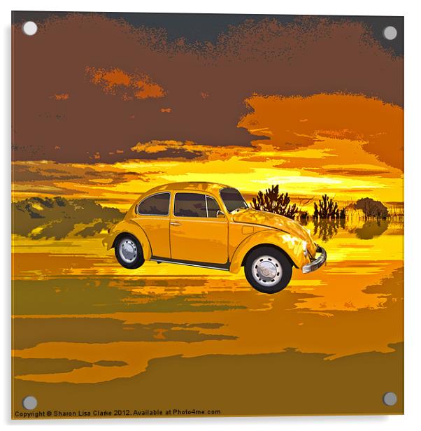 Sunset Drive Acrylic by Sharon Lisa Clarke