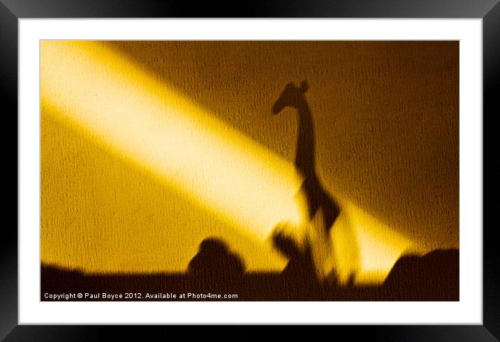 Safari Shadow Framed Mounted Print by Paul Boyce