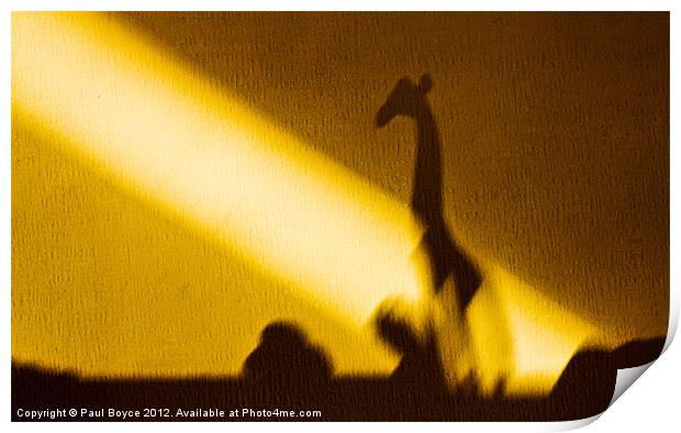 Safari Shadow Print by Paul Boyce