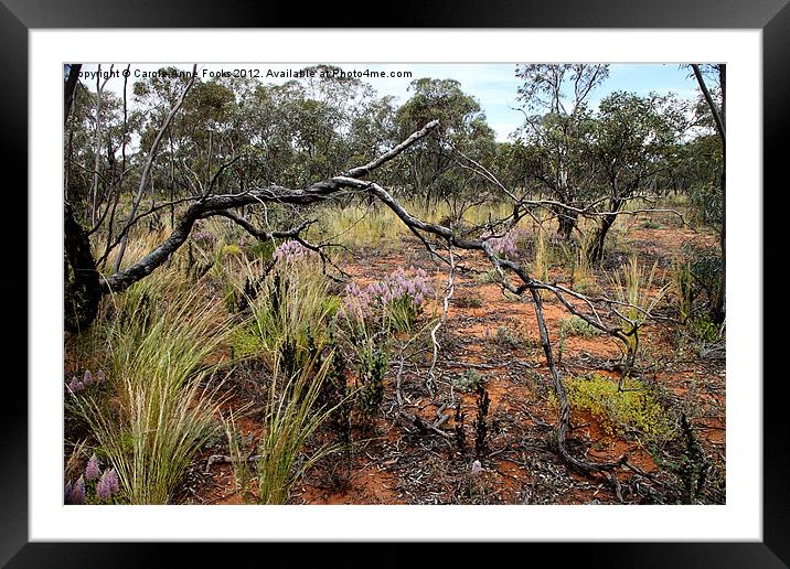 Mallee Scrub at Mungo Framed Mounted Print by Carole-Anne Fooks