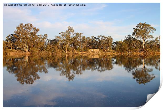 River Murray Reflections Print by Carole-Anne Fooks