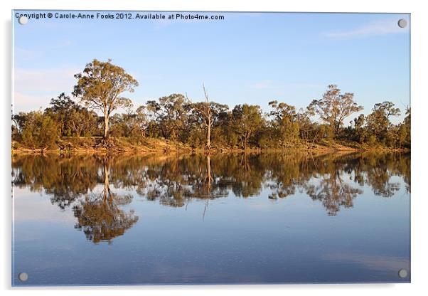 River Murray Reflections Acrylic by Carole-Anne Fooks