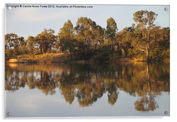 River Murray Reflections Acrylic by Carole-Anne Fooks
