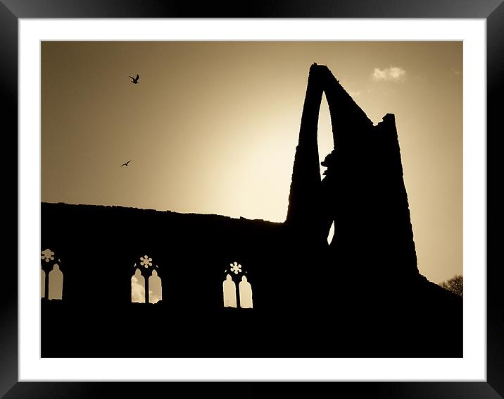 Tintern Abbey Framed Mounted Print by Mary Lane