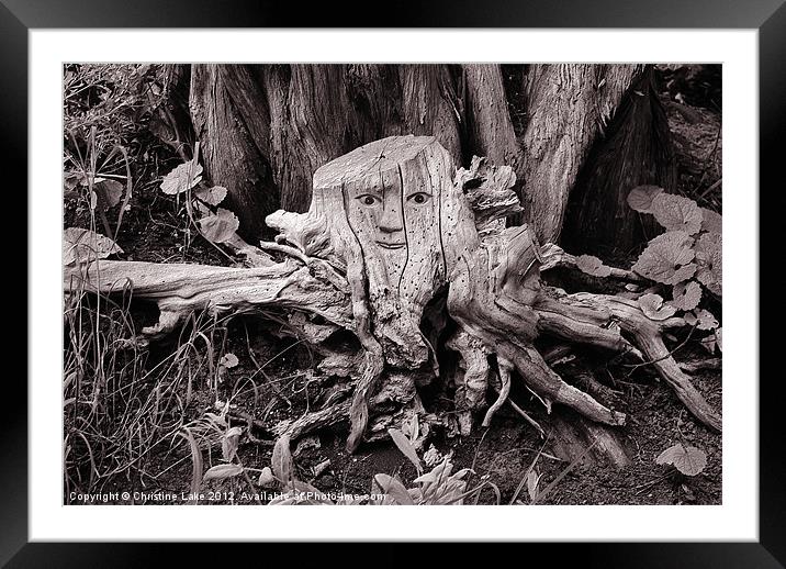 Tree Spider Framed Mounted Print by Christine Lake