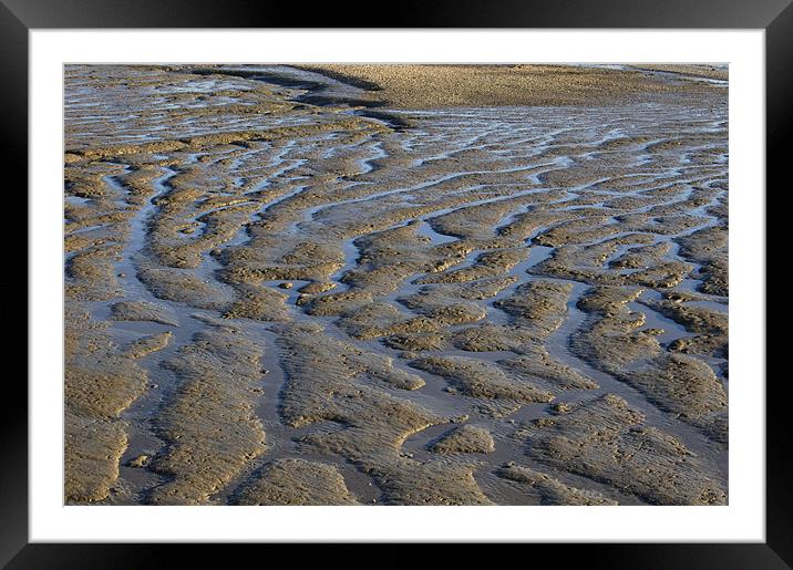 Mud Flats Framed Mounted Print by Iain McGillivray