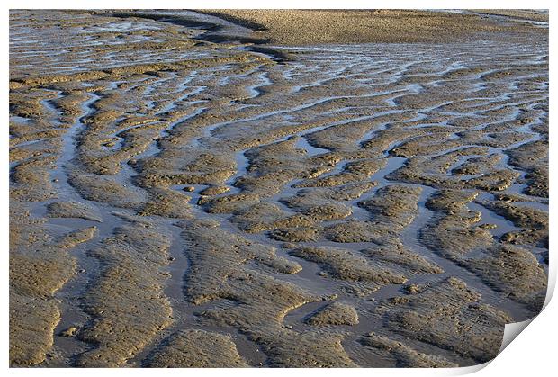 Mud Flats Print by Iain McGillivray