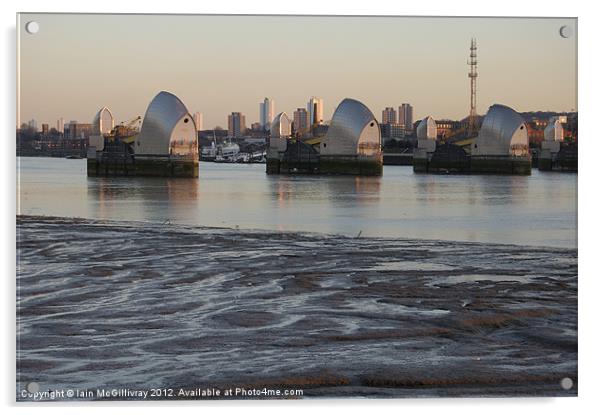 Thames Barrier at Dusk Acrylic by Iain McGillivray
