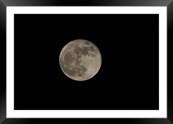 wolf moon Framed Mounted Print by philip hendry