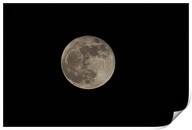 wolf moon Print by philip hendry