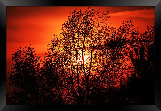 Norfolk summer sunset Framed Print by dennis brown