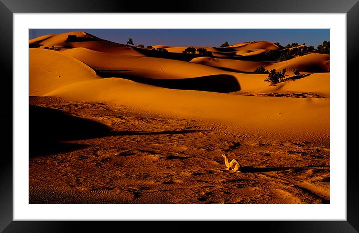 Sahara Sunrise Framed Mounted Print by Tony Polain