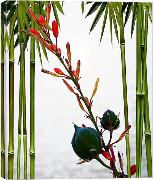 Flower Buds with Bamboo Canvas Print by Isabel Antonelli