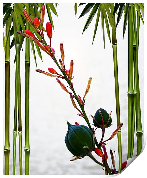 Flower Buds with Bamboo Print by Isabel Antonelli