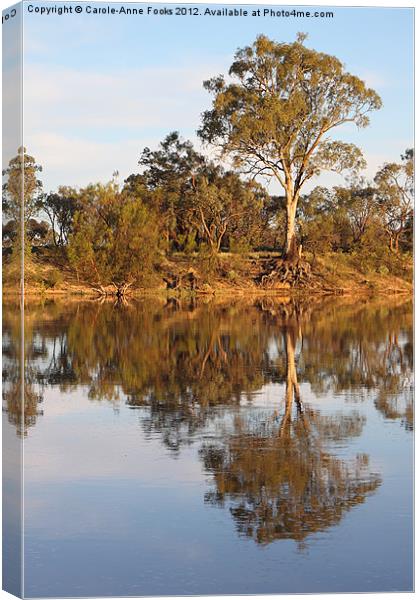 River Murray Reflections Canvas Print by Carole-Anne Fooks