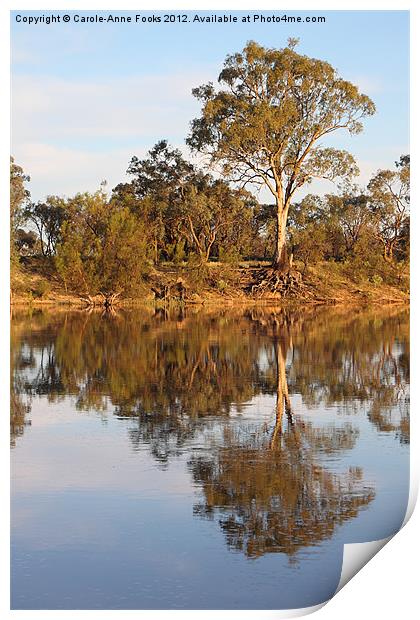 River Murray Reflections Print by Carole-Anne Fooks