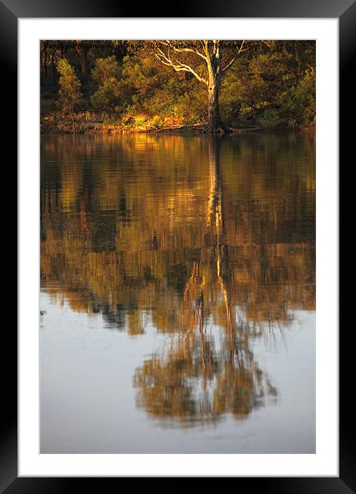 River Reflections Framed Mounted Print by Carole-Anne Fooks