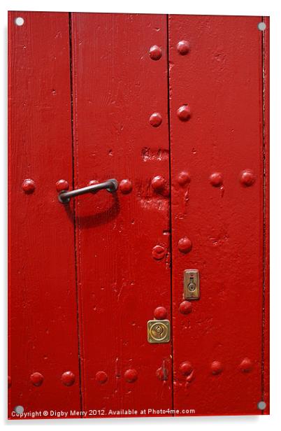 Detail of Red door Acrylic by Digby Merry