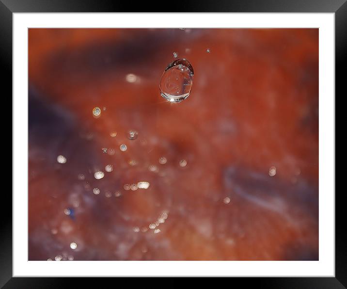 Droplets of Water Framed Mounted Print by Isabel Antonelli