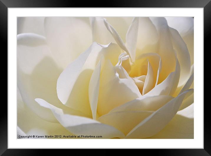 White Rose Framed Mounted Print by Karen Martin