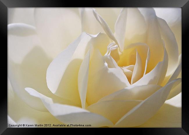 White Rose Framed Print by Karen Martin
