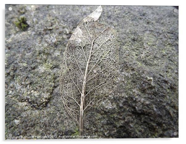 Skeletal Leaf Acrylic by Joanne Partington