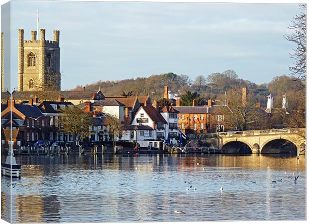 Henley-on-Thames Canvas Print by Tony Murtagh