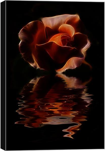 Reflected Rose Canvas Print by Dean Messenger
