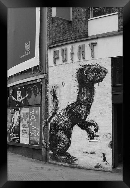 Shoreditch Street Rat Framed Print by Adrian Wilkins