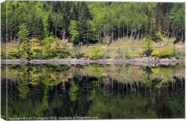 Reflections on Thirlmere Canvas Print by Dan Thorogood