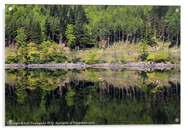 Reflections on Thirlmere Acrylic by Dan Thorogood