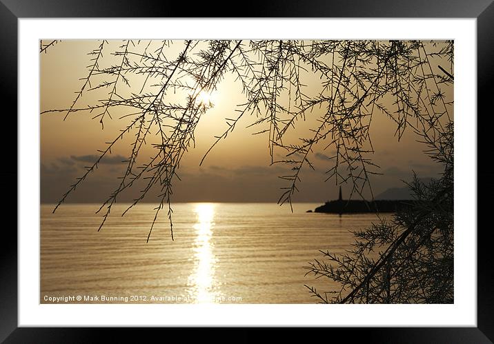 Reflecting on a new day Framed Mounted Print by Mark Bunning